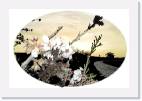 sunset_flower * 800 x 533 * (52KB)